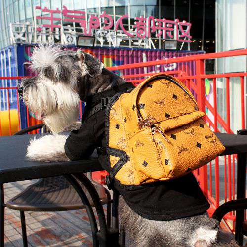 MCM 犬用のリュックサック 可愛い